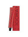 TINTE IGORA 8.77 RUBIO CLARO COBRIZO 60GR