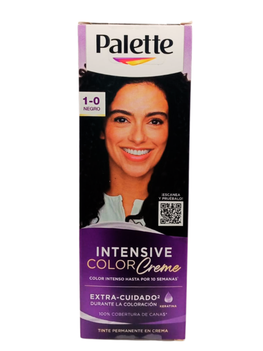 TINTE PALETTE 1.0 NEGRO