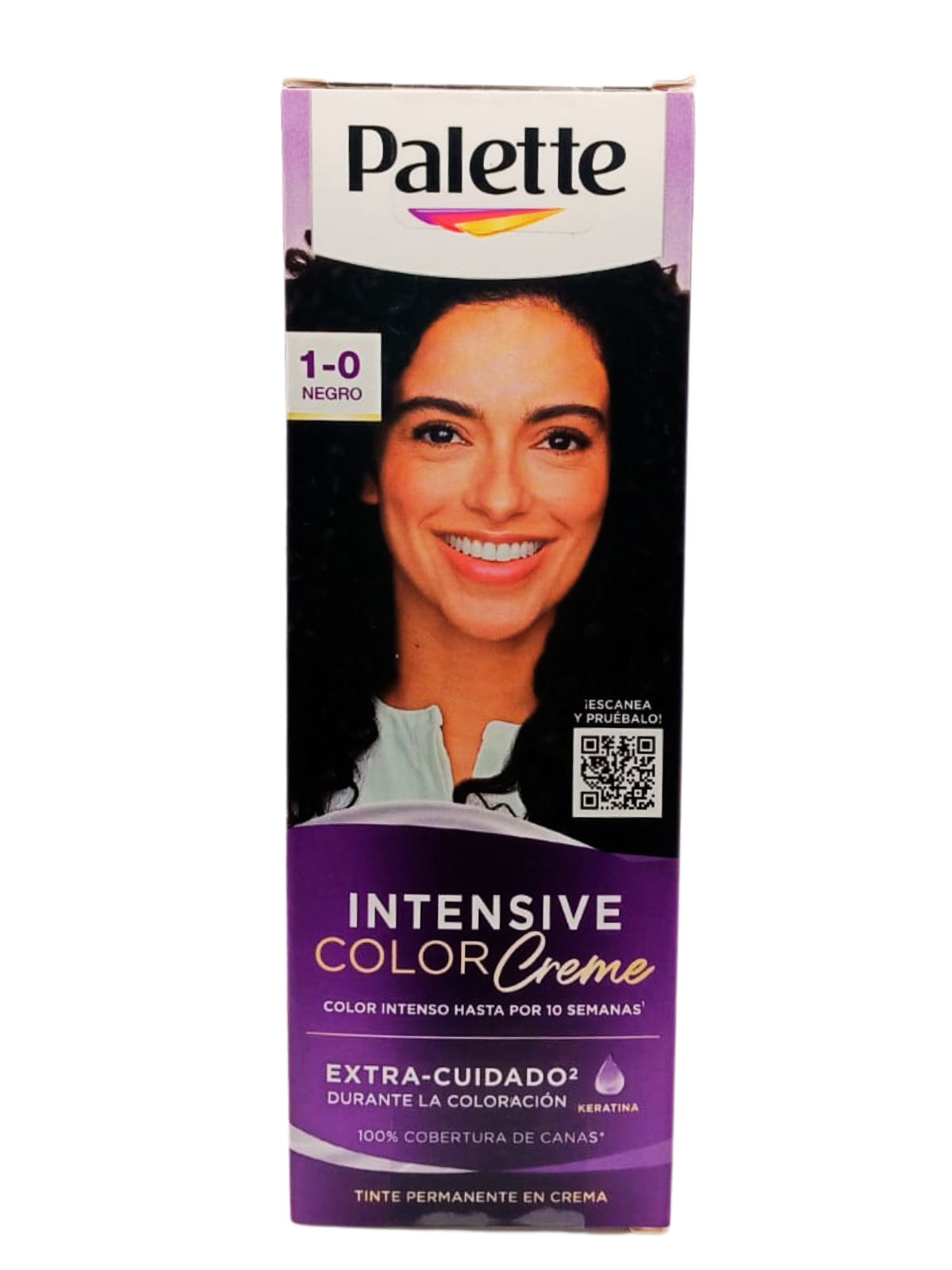 TINTE PALETTE 1.0 NEGRO