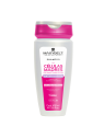 SHAMPOO MAXIBELT CELULAS MADRES 400 ML