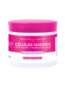 TRATAMIENTO MAXIBELT CELULAS MADRES 400 ML