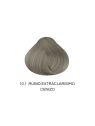 TINTE MAXIBELT 10.1 RUBIO EXTRACLARISIMO CENIZA 60ML