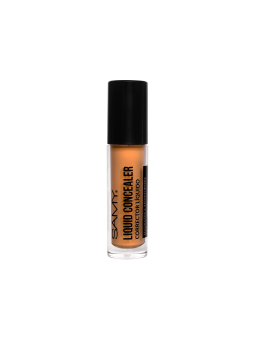 BASE CORRECTORA LIQUIDA SAMY Nº5 RICH