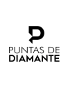 LABORATORIO PUNTAS DE DIAMANTE SAS